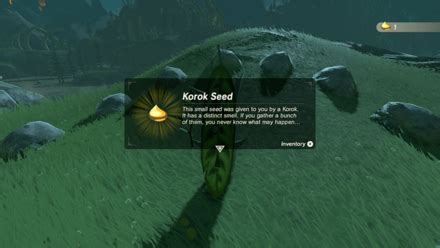 botw increase inventory|all korok seed locations.